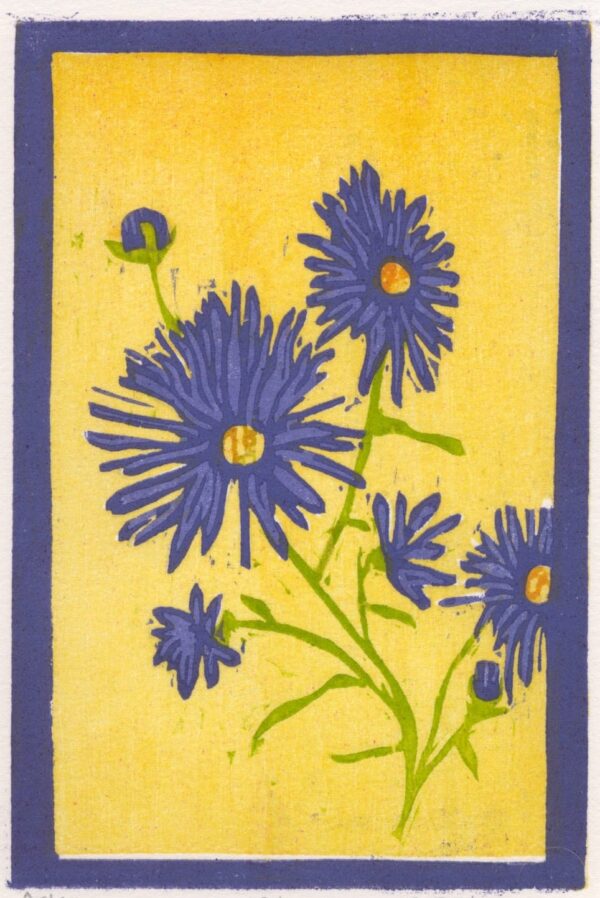 Aster woodcut print