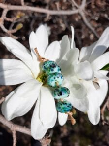 Celestial on green 5 bead set