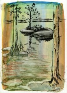 painting of trees and island