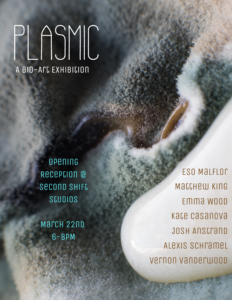 Plasmic art exhibition poster