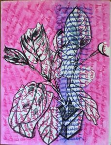 prayer plant with words in background