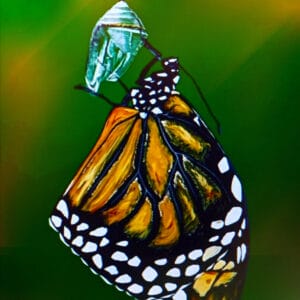 JESSICA PENDZIMAS artwork of monarch butterfly